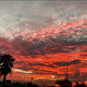 Meet your Posher, Illiann